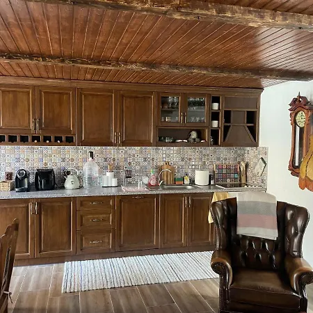 бутикова елена село кипилово *